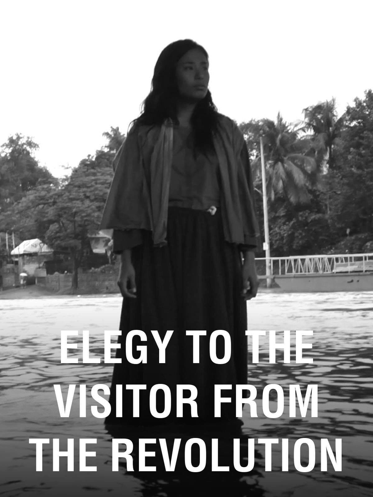 Elegy to the Visitor From the Revolution