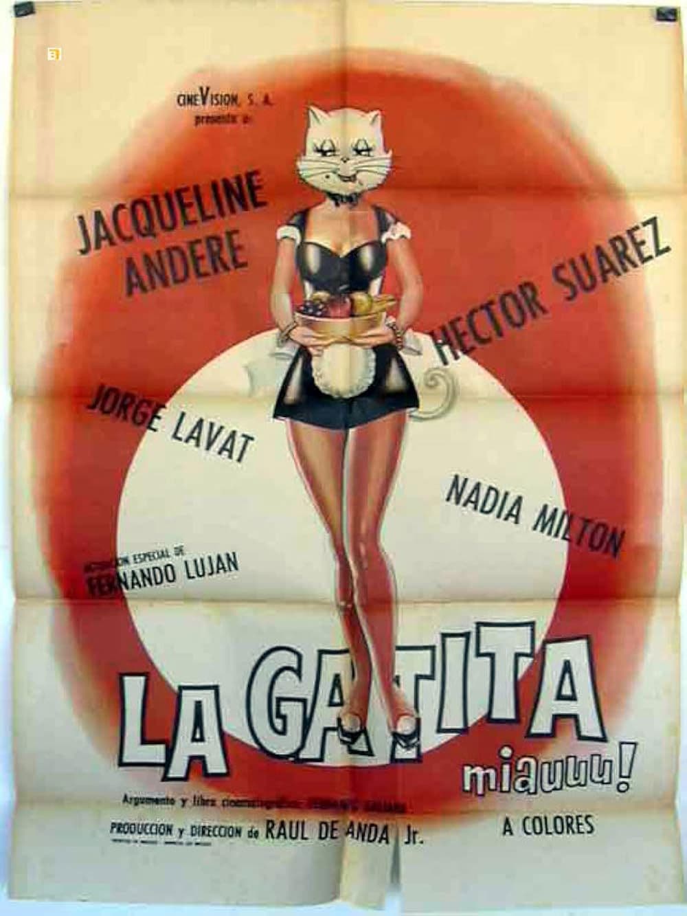 La gatita