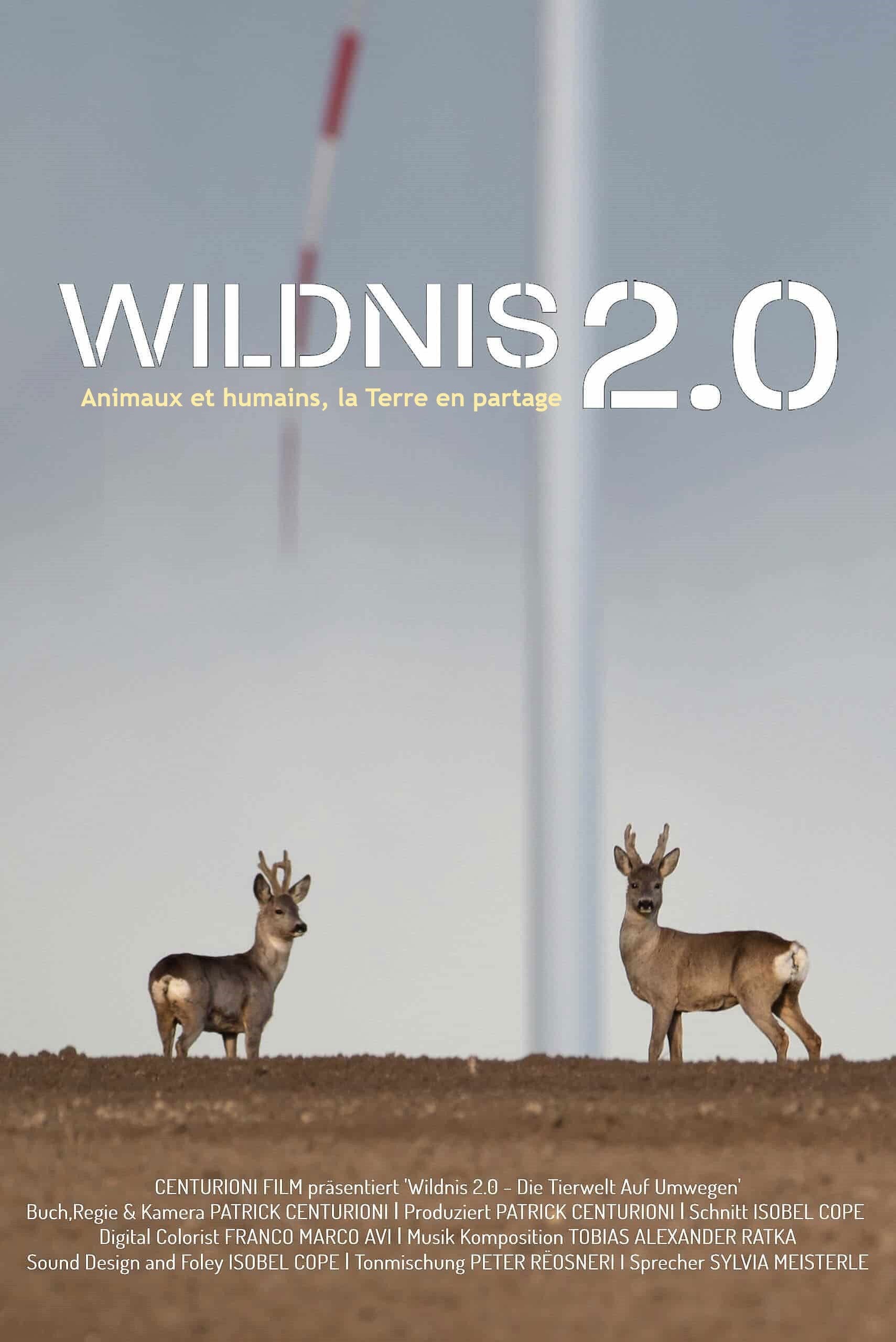 Wildnis 2.0 - Die Tierwelt auf Umwegen