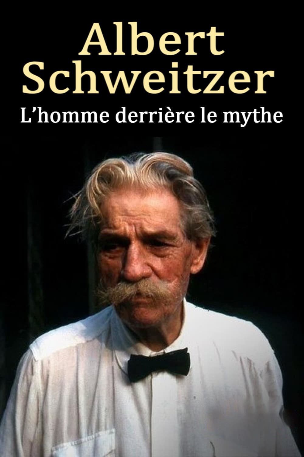 Albert Schweitzer - The Man Behind the Myth