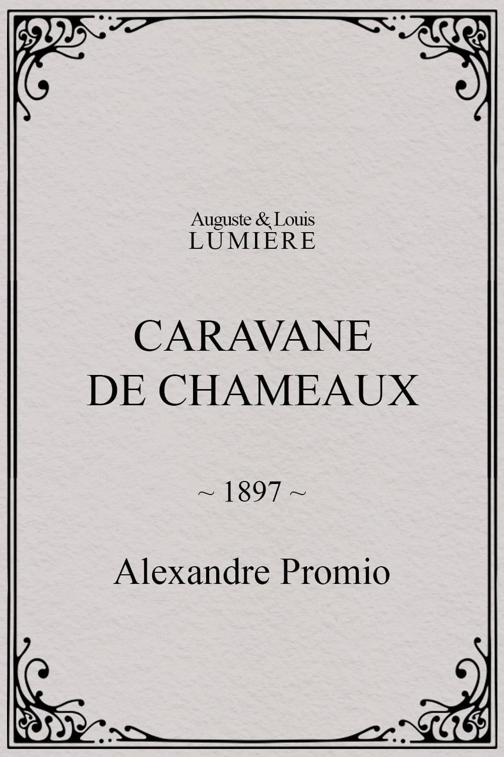 Caravane de chameaux