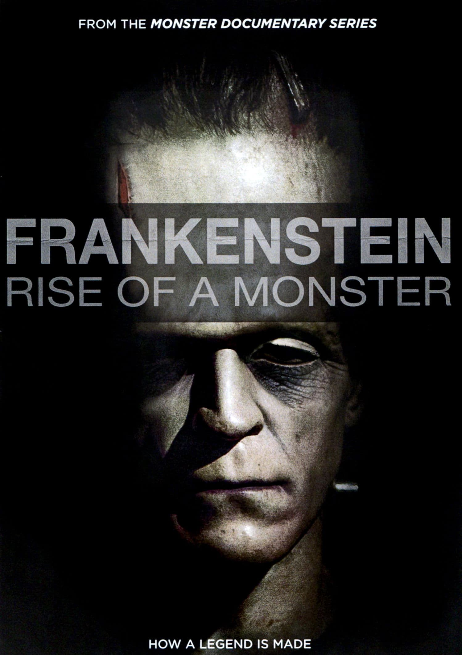 Frankenstein: Rise of a Monster